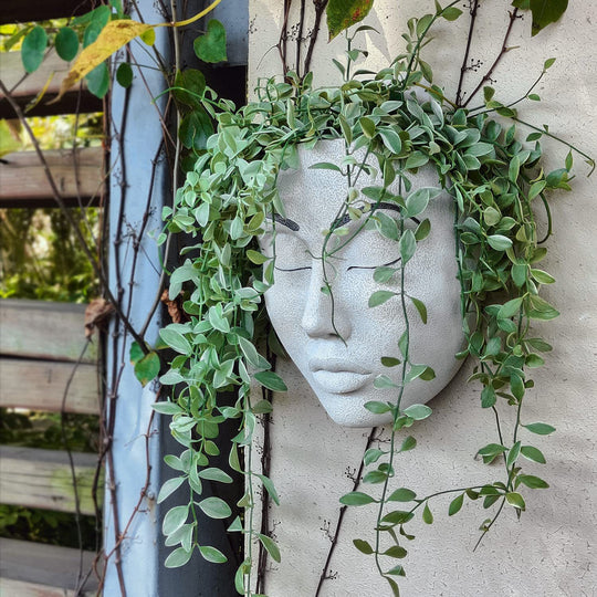 Sleeping Beauty Wall-hanging Flower Pot Art